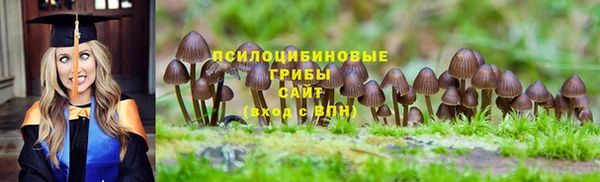 гидропоника Белоозёрский