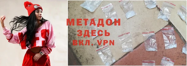 сатива Беломорск