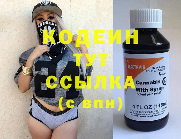 шишки Белокуриха