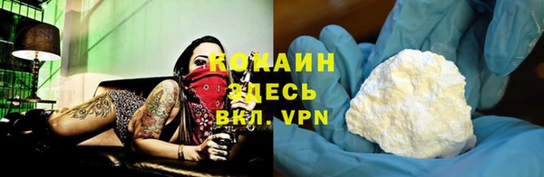 сатива Беломорск