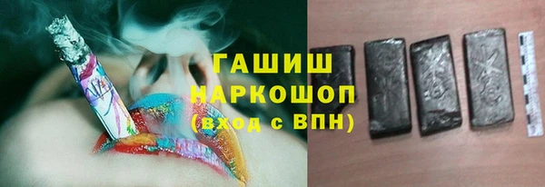 сатива Беломорск