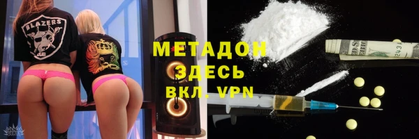 шишки Белокуриха