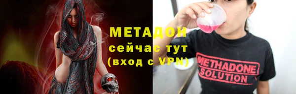 шишки Белокуриха