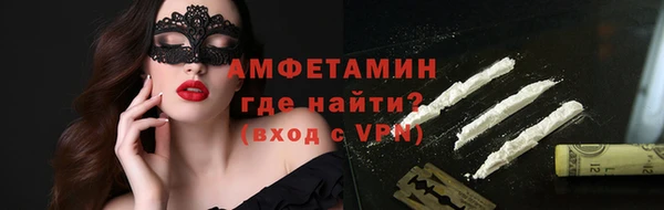 сатива Беломорск