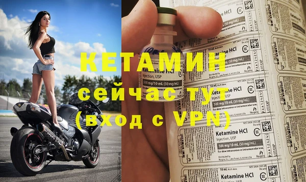 шишки Белокуриха