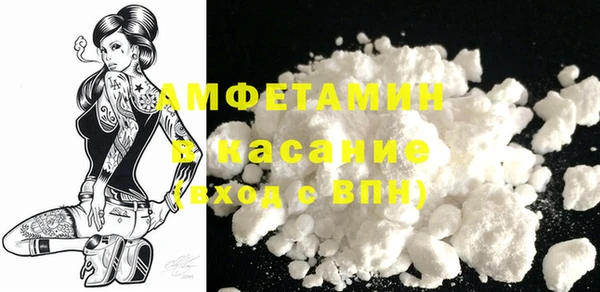 шишки Белокуриха