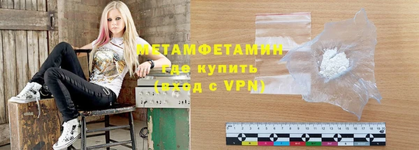 сатива Беломорск
