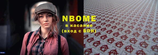 шишки Белокуриха