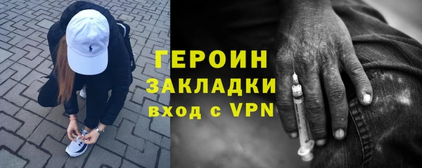 шишки Белокуриха